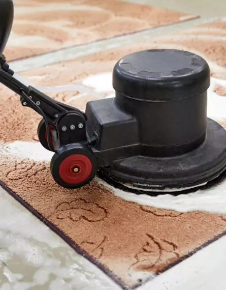 Central Coast Carpet Cleaning