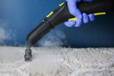 Carpet Steam Cleaning